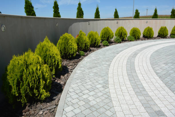 Best Custom Driveway Pavers  in Nokesville, VA